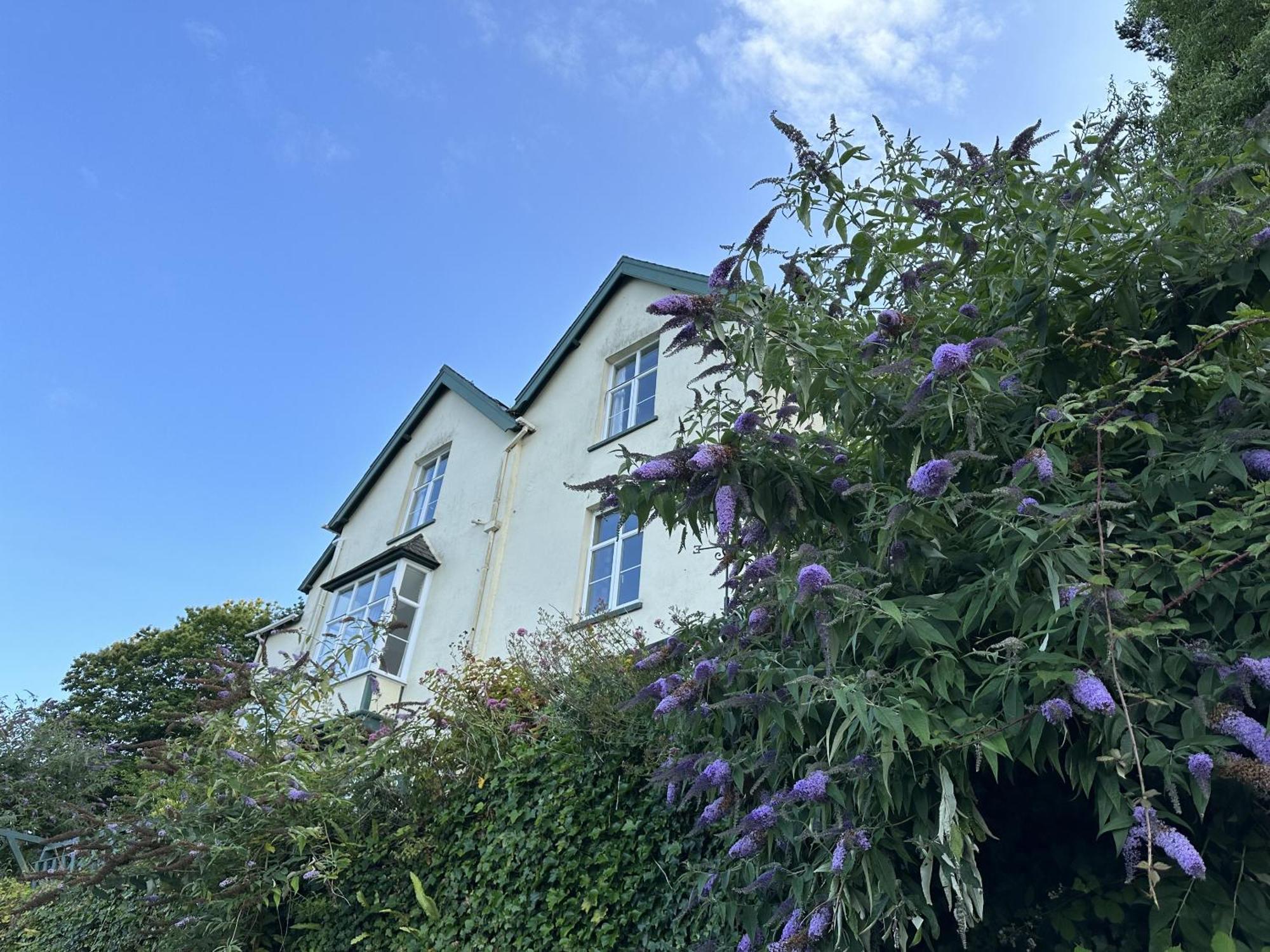 Bed and Breakfast North Walk House Lynton Exterior foto